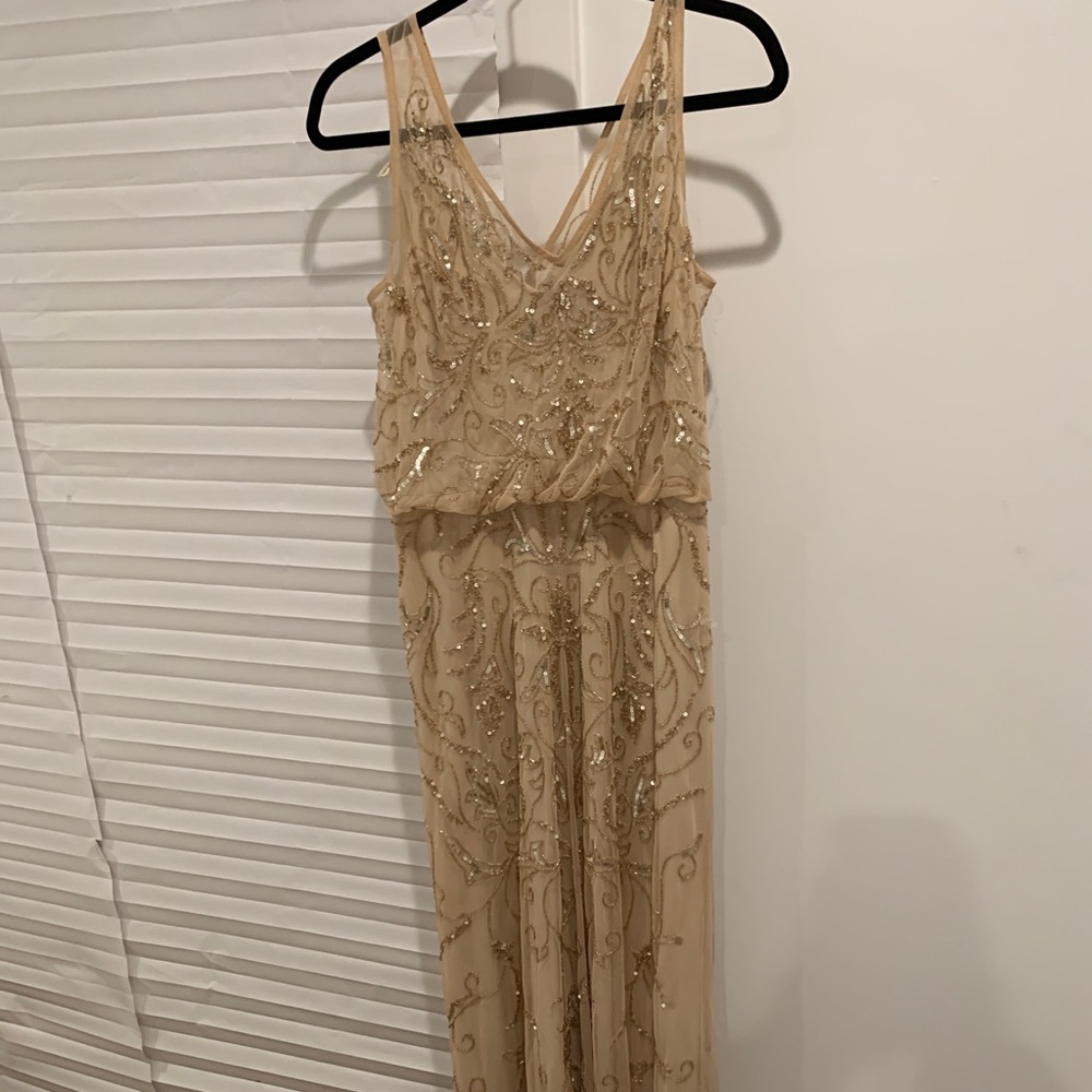 Long Adrianna Papell Dress